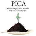 Pica και εγκυμοσύνη