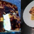 Πατάτες ογκρατέν με μπεσαμέλ Potatoes au gratin