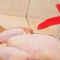 Μην πλένετε το ωμό κοτόπουλο πριν το βράσετε[...]