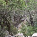 Ο Καταρράκτης της Λέσβου