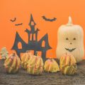 Νυχτεριδες και μαγεμενες κολοκυθες | Halloween[...]