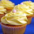 Cupcakes Κρόκου Κοζάνης ― Γεύση Ελλάδας