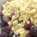 Crumble με φρούτα του δασους