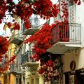 Δώρα & Φράουλες βουτηγμένες σε σοκολάτα