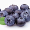 ΜΥΡΤΙΛΛΟ (BILBERRY)