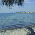 Ακατάλληλες παραλίες για μπάνιο στην Αττική για[...]