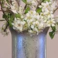 Diy mercury glass.