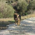 Μια βόλτα και μια κατασκευή!