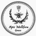 Apis Mellifera