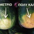Έτσι θα διαλέξετε εύκολα το καλύτερο καρπούζι.