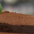 Μους σοκολάτα με άρωμα πορτοκαλιού με brownies[...]