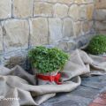 Η DIY βάπτιση του μικρού μου με θέμα τη φάρμα:[...]