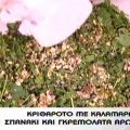 Kριθαρότο με καλαμαράκια, σπανάκι και γρεμολάτα[...]