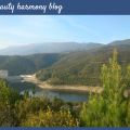 Εκδρομή πικ-νικ στο φράγμα Παναγιώτικο- pic nic[...]