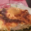 Κοτόπουλο με σπανάκι Ογκρατέν συνταγή από[...]