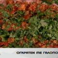 Ογκρατέν με Γαλοπούλα