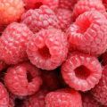 Παγωτό Rasberry ή φράουλας