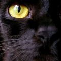 13 παράξενες δεισιδαιμονίες και από που βγήκαν