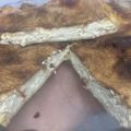 Τυρόπιτα χωριάτικη